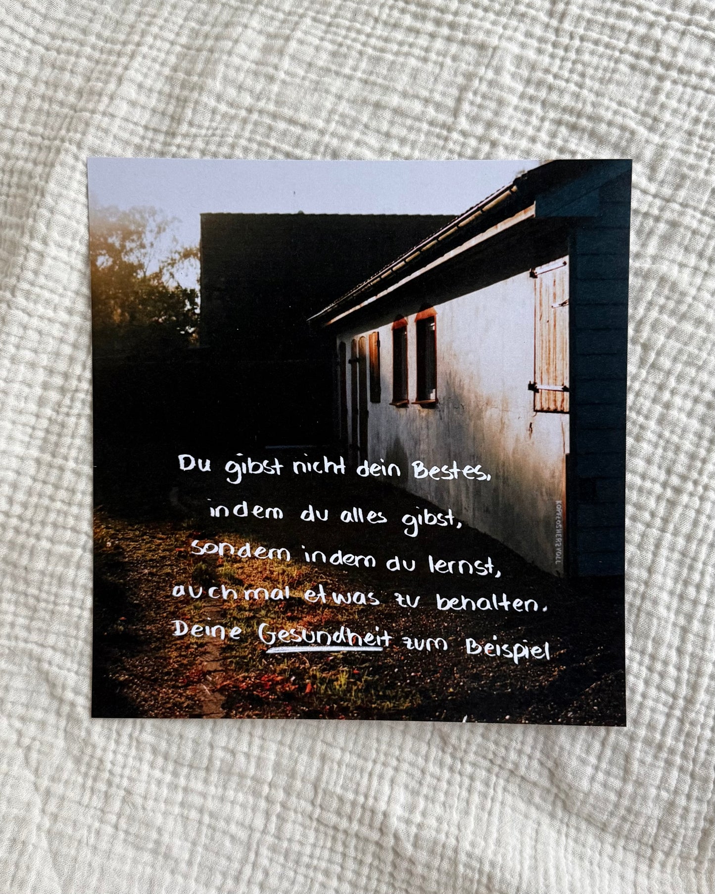 Maxi-Karten 11er-Set