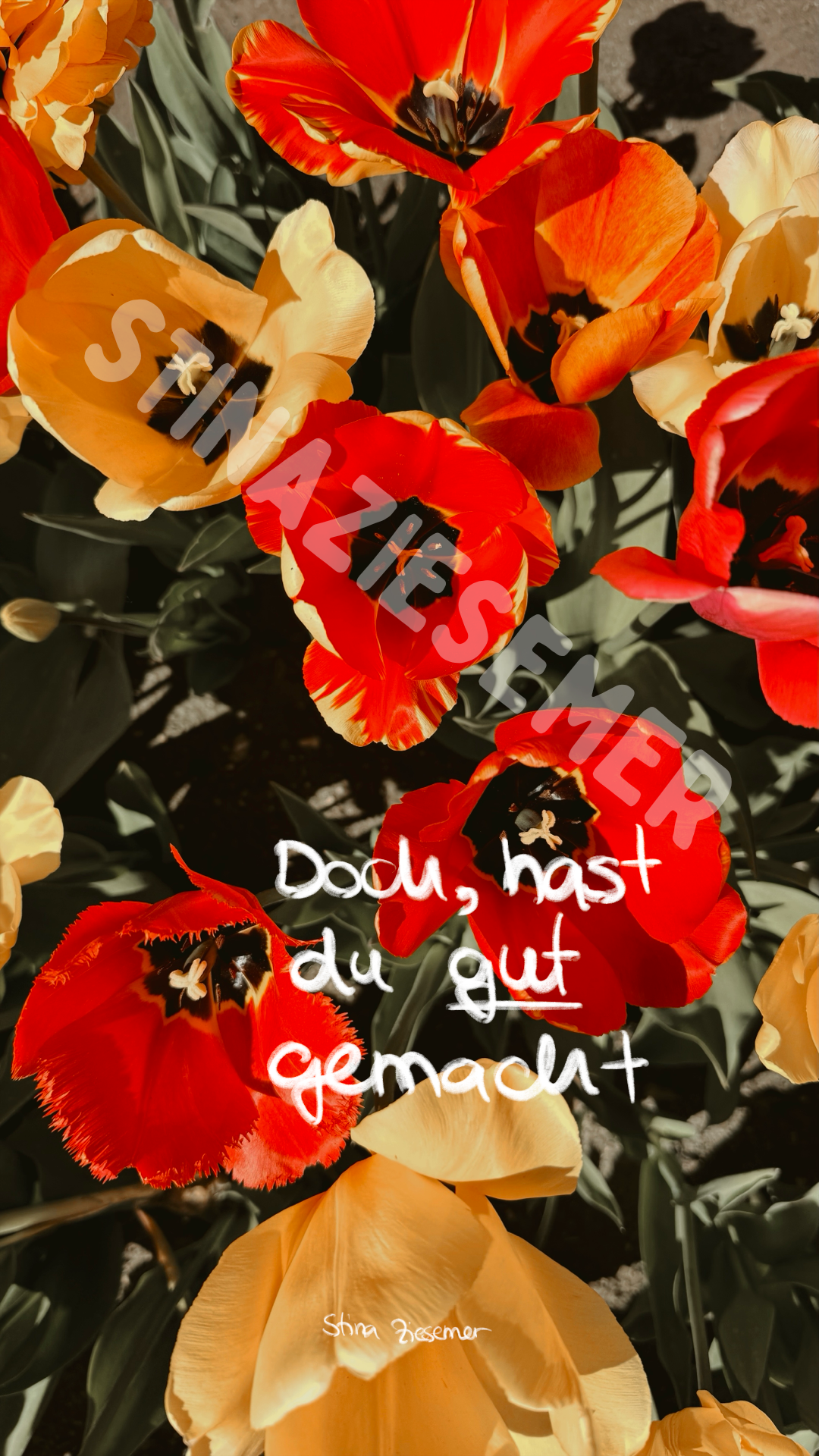 10 richtig schöne Wallpaper